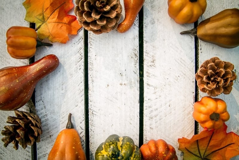 Осенний декор с овощами и фруктами